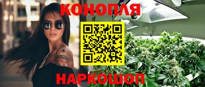прущие крисы Малгобек