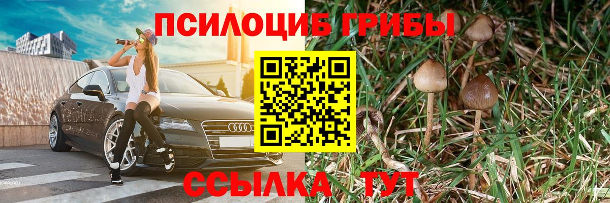Псилоцибиновые грибы GOLDEN TEACHER  Псилоцибиновые грибы Magic Shrooms  Вход с VPN  Екатеринбург 